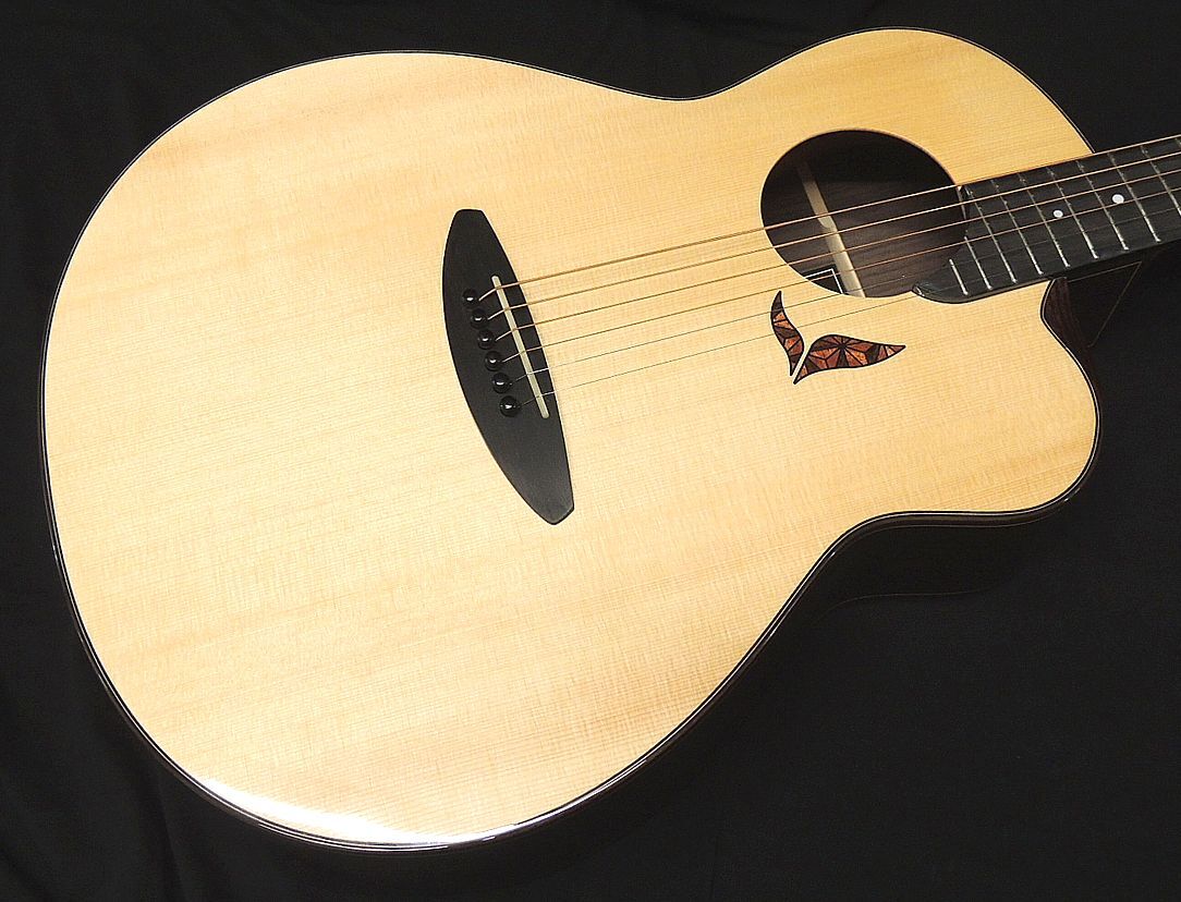 aNueNue aNN-LS700 杉田健司デザイン オール単板 LS Acoustic Future Series Design by Luthier Sugita アヌエヌエ アコースティックギター_画像3