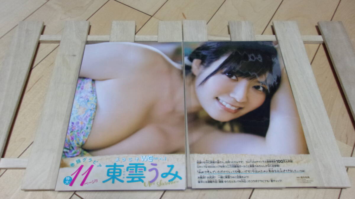 東雲うみ★Gカップ＆H100・巨乳グラドル★彡B5雑誌切抜ラミネート12P★T162B90W59H100★美乳・美脚・美尻《G73》の画像1