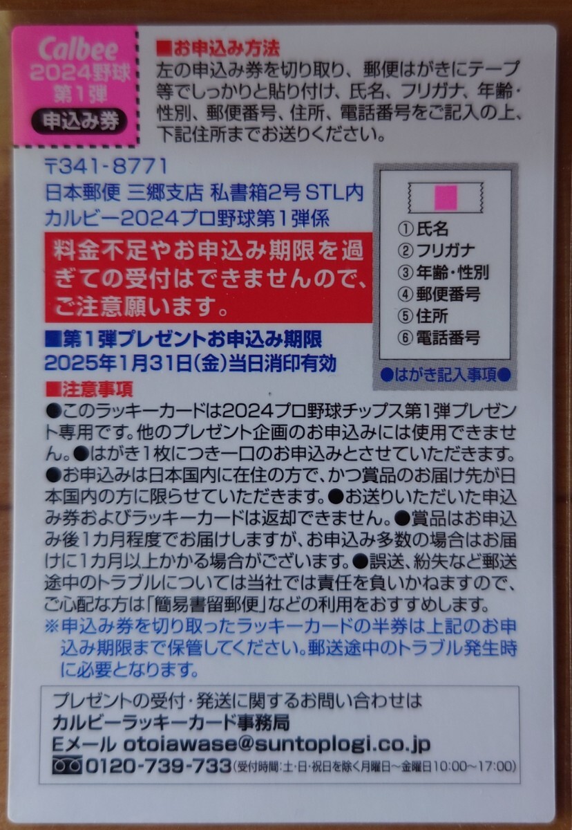 カルビープロ野球チップス2024☆ラッキーカード1枚☆_画像2