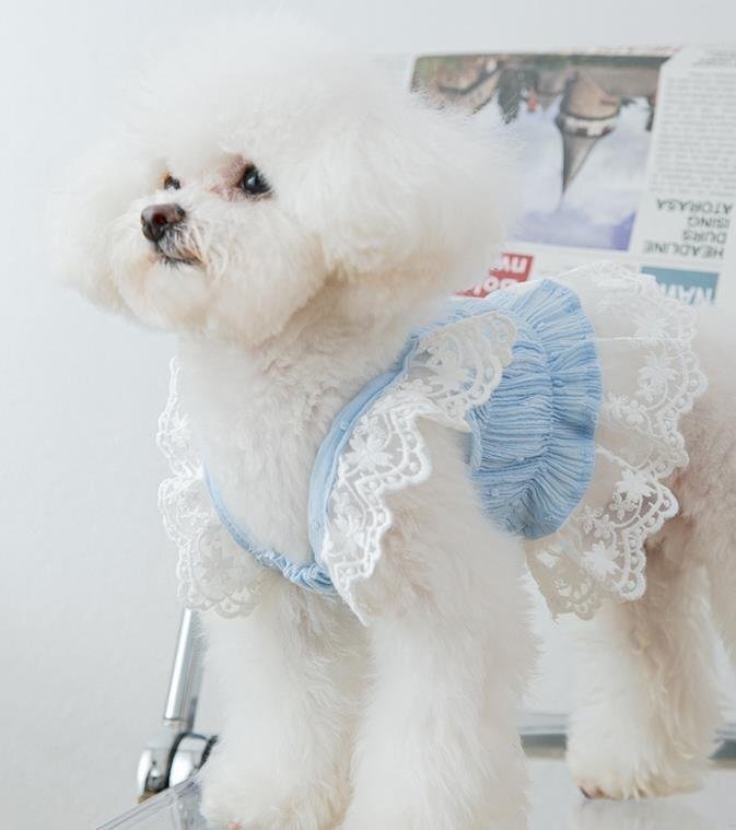 かわいい　ペット服 ワンピース 犬洋服　 ドッグウェア 春夏 レースドレス 猫服 通気_画像5