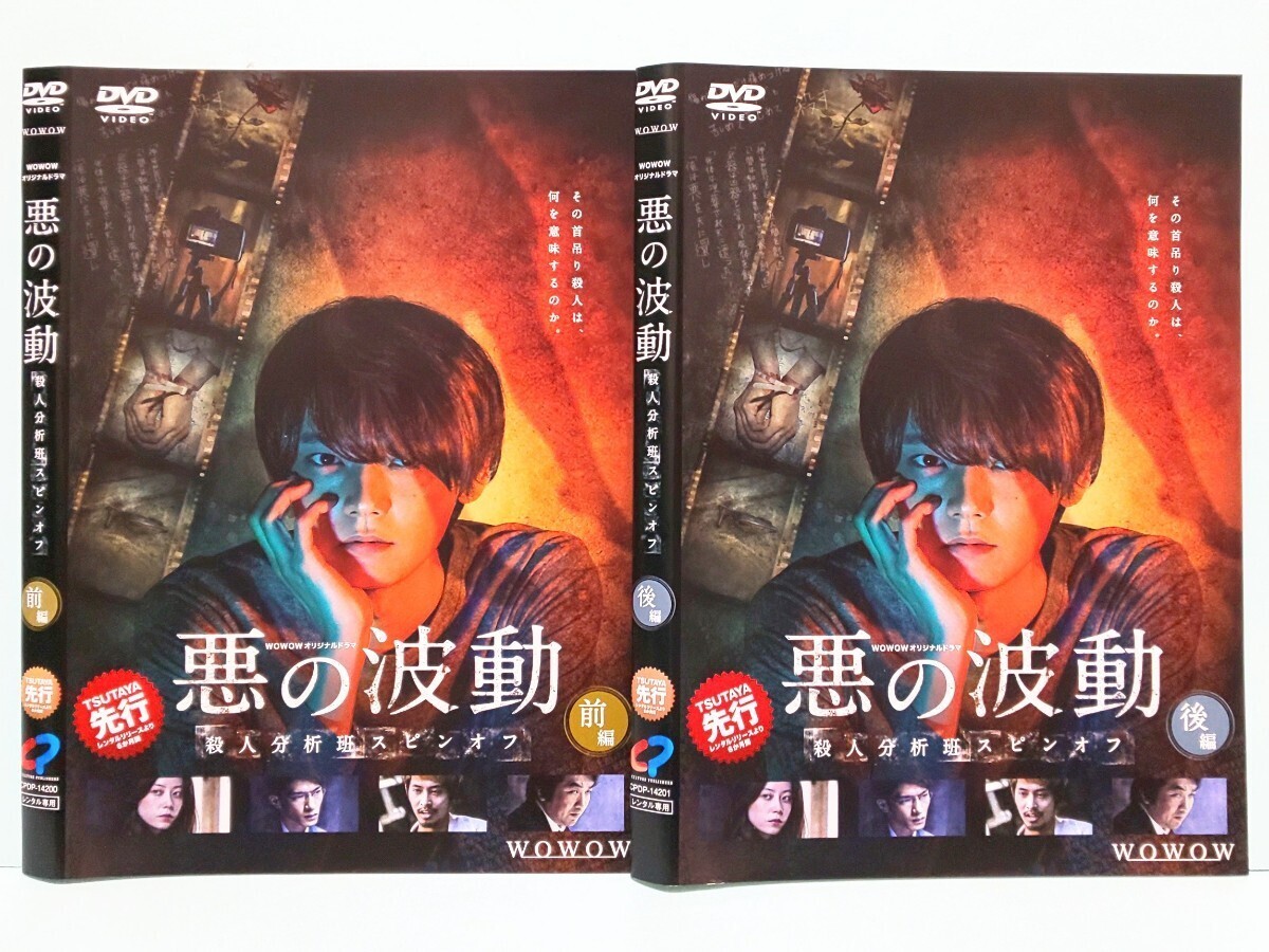 石の繭 水晶の鼓動 蝶の力学 悪の波動 殺人分析班 邪神の天秤 公安分析班 レンタル版 DVD ドラマ 全巻 セット 木村文乃 青木崇高 古川雄輝