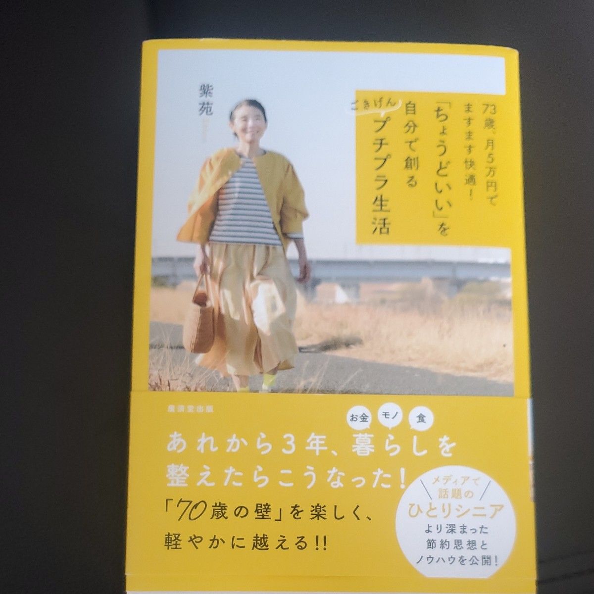 「ちょうどいい」を自分で創るごきげんプチプラ生活　７３歳、月５万円でますます快適！ 紫苑／著