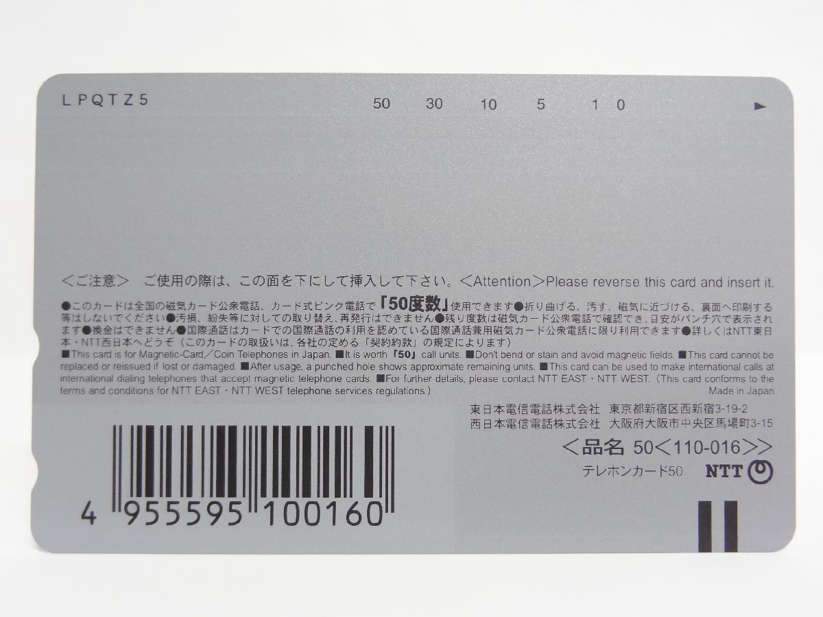 レアテレカ!! 未使用 テレカ 50度数×3枚 Newtype 神坂一×あらいずみるい スレイヤーズ KADOKAWA 月刊ドラゴンマガジン Slayers [3]☆P_画像6