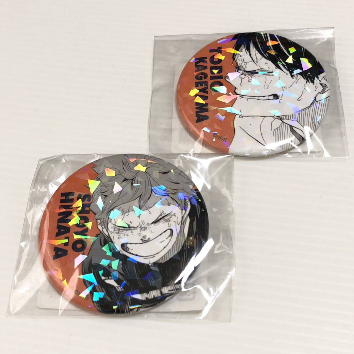 m225-0289-15 Haikyu!!!! weekly Shonen Jump all Star can badge 12 piece Hyuga city . mountain red . tree . two . star sea .. yellow gold river other 