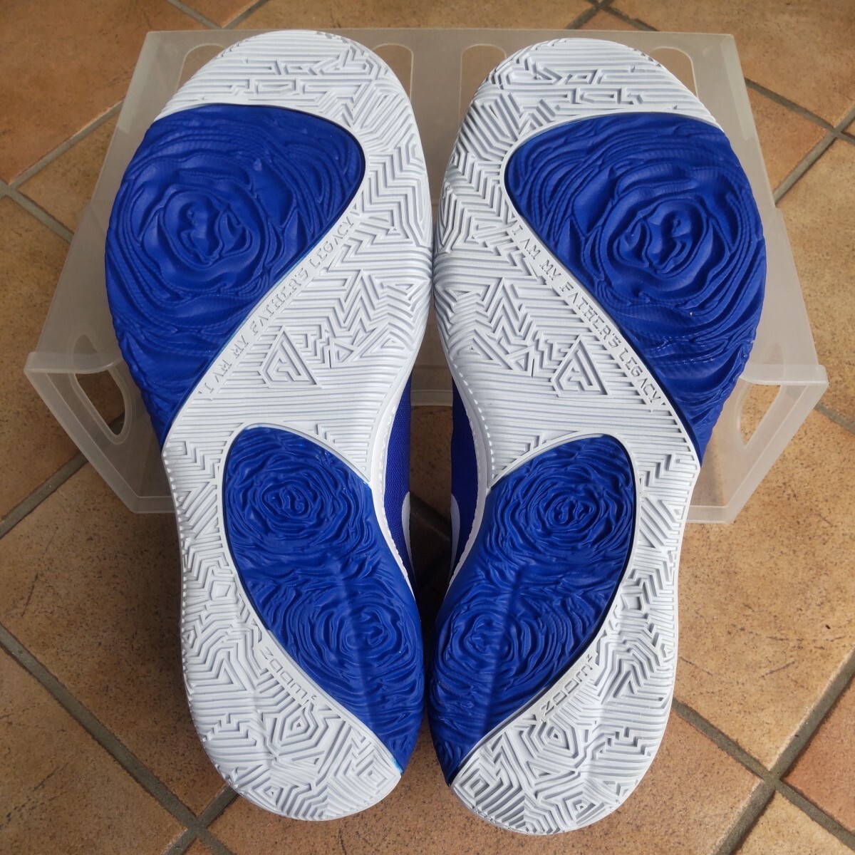 29 0㎝ ズームフリーク1 Nike Zoom Freak 1 バッシュ 青色 29 0㎝ ズームフリーク1 Nike Zoom Freak 1 バッシュ 青色
