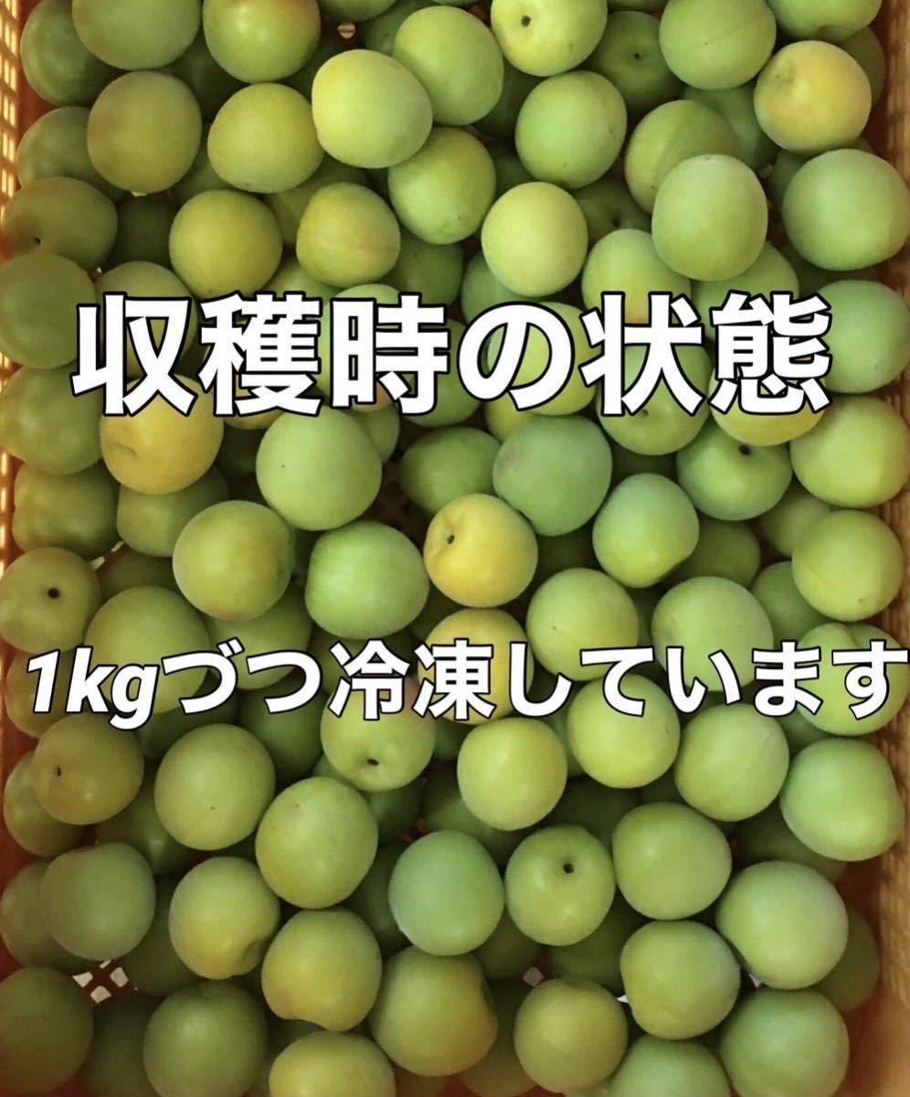 y307 冷凍クール便「冷凍南高梅」大玉３L 1kg 青梅 梅シロップや梅酒に最適（梅干し不可）和歌山の冷凍梅 キルトパッチ店（22）の画像4