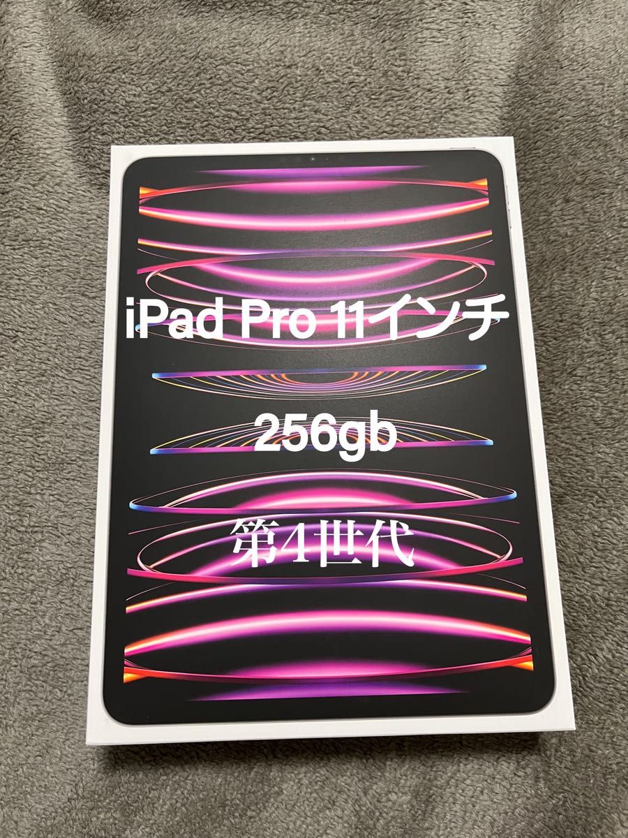 iPad Pro 11インチ Wi-Fi 256GB スペースグレイ 2022年モデル（第4世代）