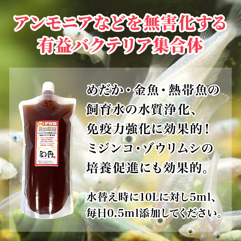 【水質浄化 免疫力強化】特濃光合成細菌PSB3000ml バクテリア めだか らんちゅう 金魚 熱帯魚 グッピーにミジンコゾウリムシクロレラ培養に_特別濃縮 水質浄化 免疫強化