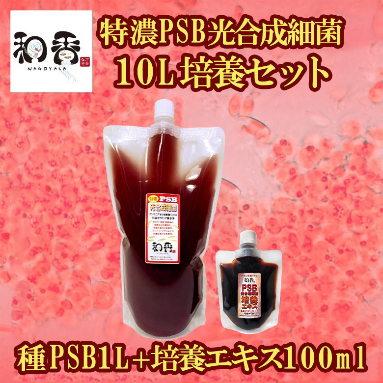 光合成細菌PSB10L培養セット バクテリア めだか らんちゅう 金魚 熱帯魚 グッピーに最適 ミジンコゾウリムシクロレラ培養の画像1