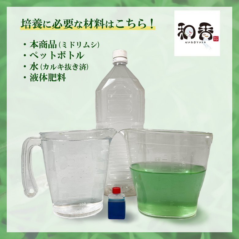 即日発送・送料安 植物性微生物 ミドリムシ500ml ユーグレナ 関連：めだかグッピーベタ金魚熱帯魚両生類など生クロレラグリーンウォーター_画像4