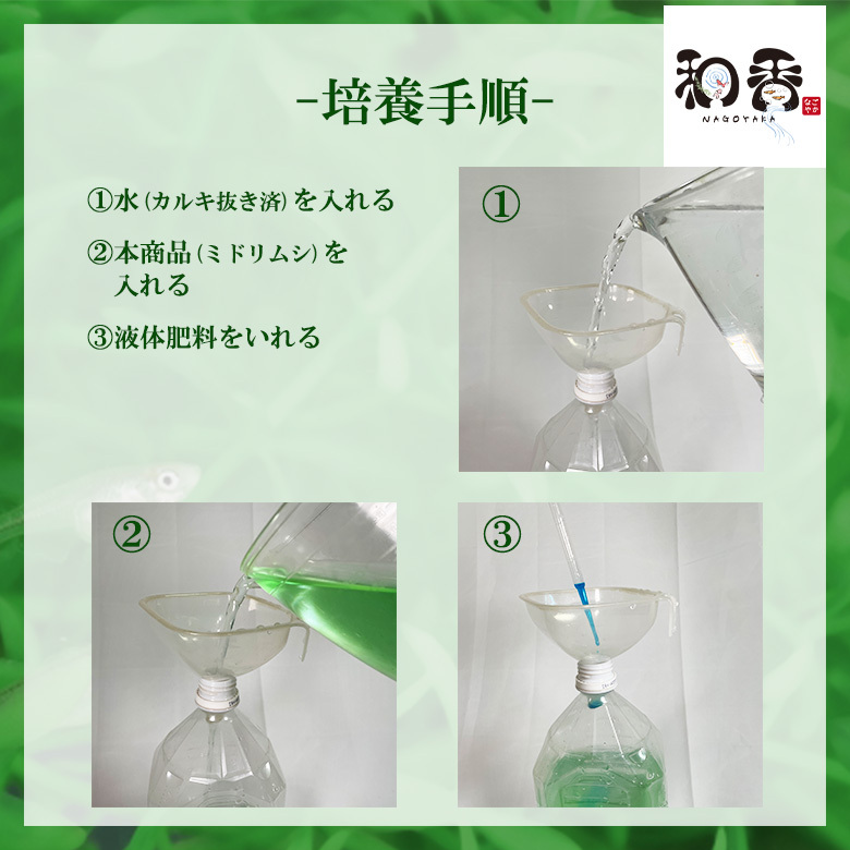 即日発送・送料安 植物性微生物 ミドリムシ800ml ユーグレナ 関連：めだかグッピーベタ金魚熱帯魚両生類など生クロレラグリーンウォーターの画像5