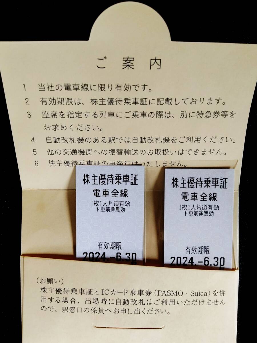 【即決】東武鉄道 株主優待乗車証 2枚 ネコポス発送 の画像1