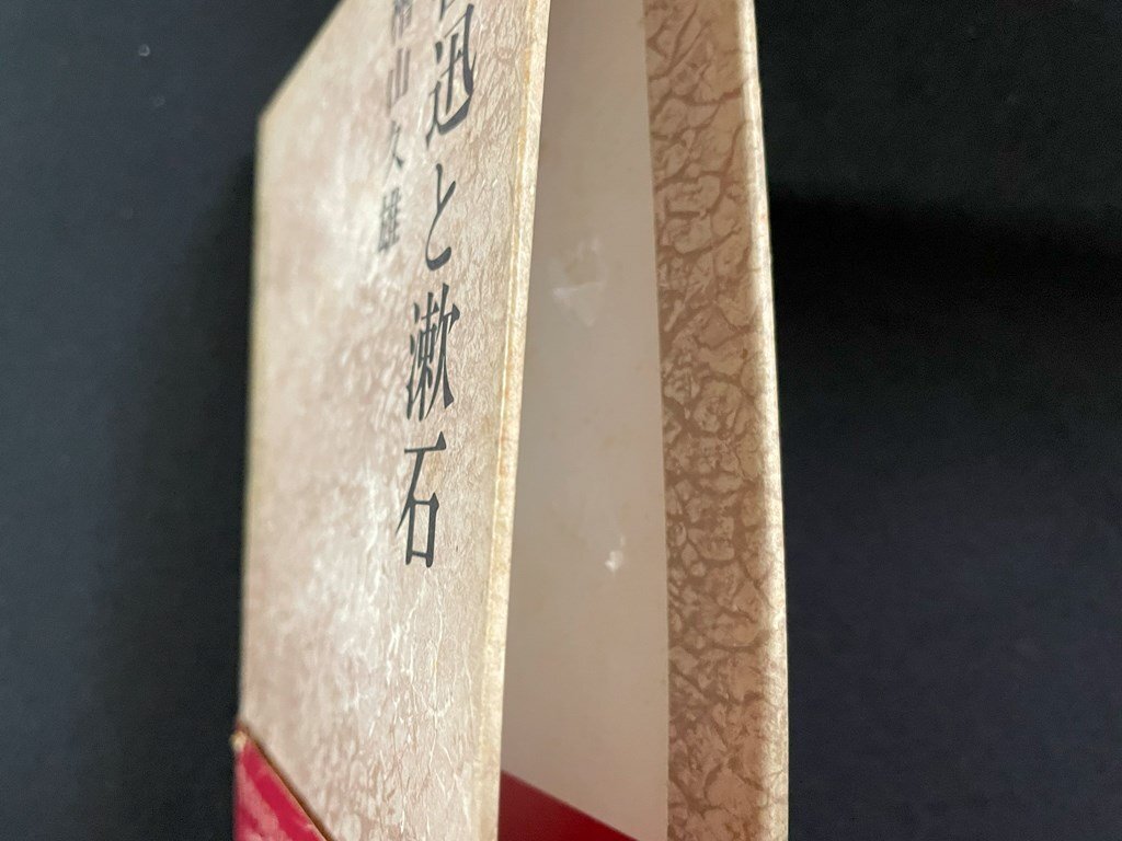 ｊ∞*　魯迅と漱石　著・檜山久雄　1977年初版　第三文明社/B51_画像3