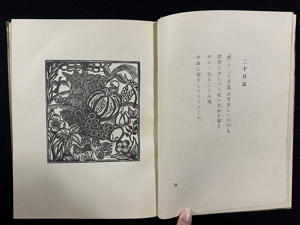 ｗ∞*　大正 書籍　動物詩集　訳・堀口大學　大正14年　第一書房　古書 /N-m15_画像4