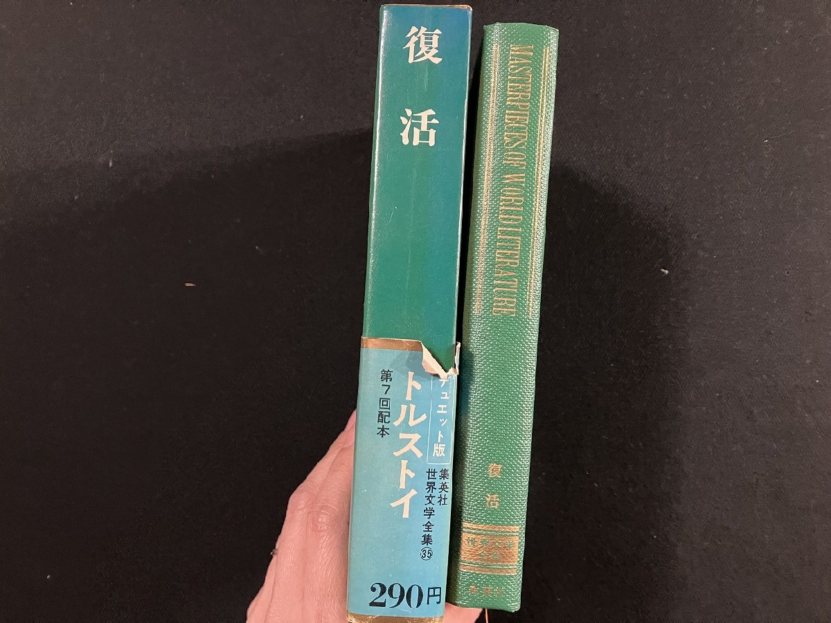 ｇ∞∞　世界文学全集35　復活　トルストイ　訳・工藤精一郎　昭和43年　集英社　/E04_画像2