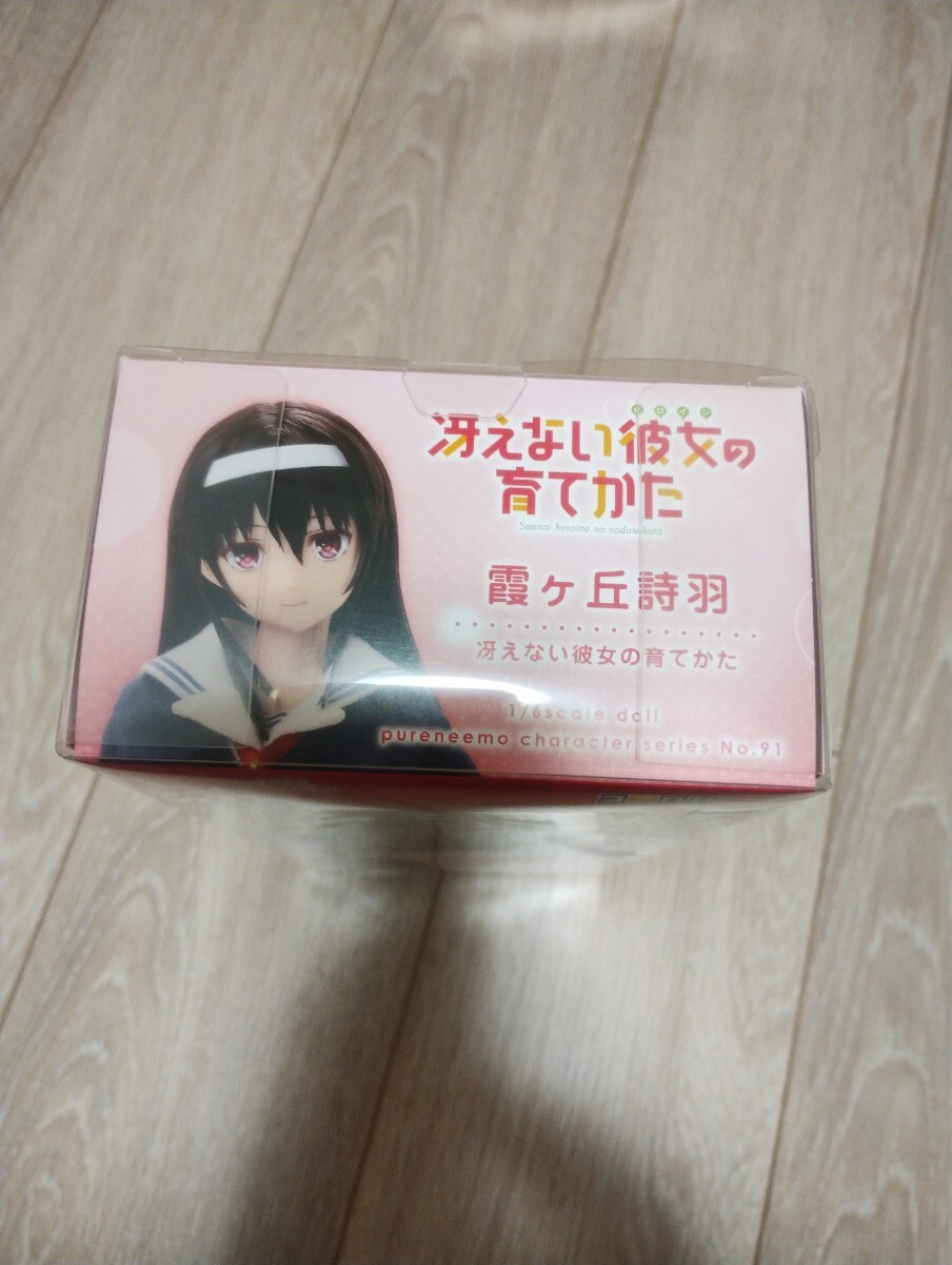 霞ヶ丘 詩羽 「冴えない彼女の育てかた」 ピュアニーモキャラクターシリーズ No.91【未開封】ドール　フィギュア_画像5