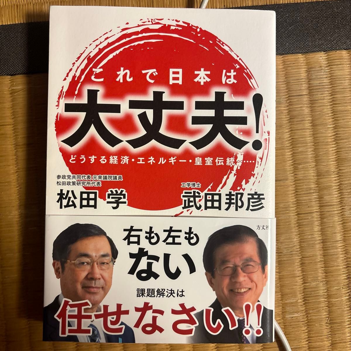 これで日本は大丈夫！　どうする経済・エネルギー・皇室伝統…… 松田学／著　武田邦彦／著