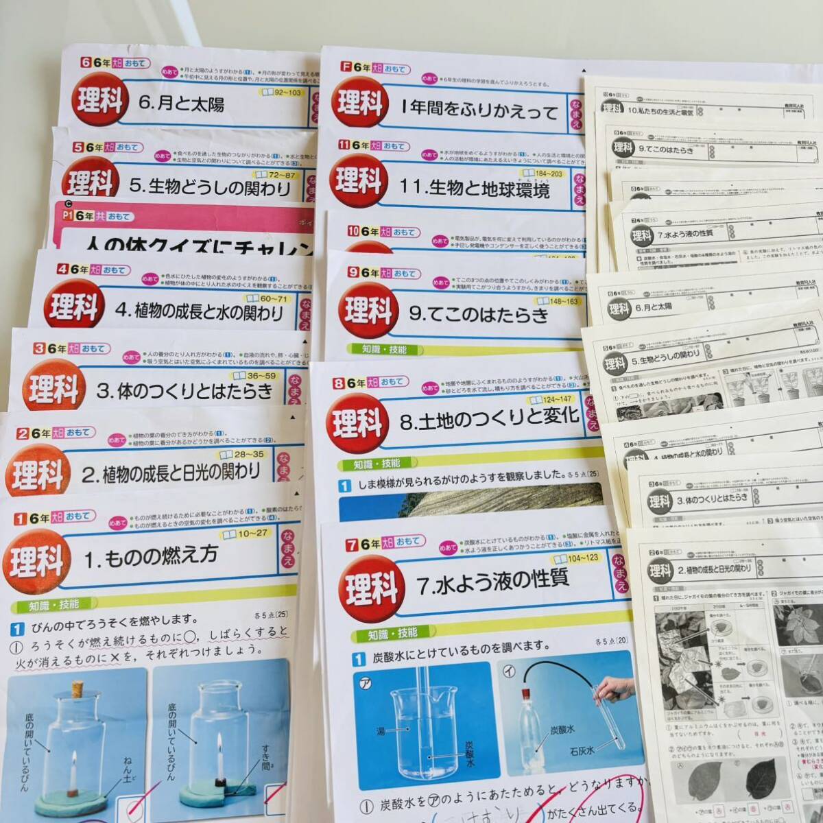  newest [ chronicle *. point ending ][ elementary school 6 year raw science ] answer attaching large Japan books education same person company color test inside . test measures . power improvement missing number none 