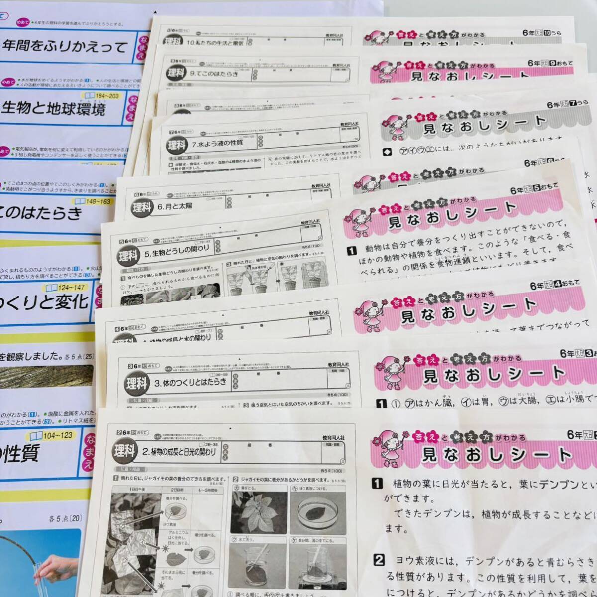  newest [ chronicle *. point ending ][ elementary school 6 year raw science ] answer attaching large Japan books education same person company color test inside . test measures . power improvement missing number none 