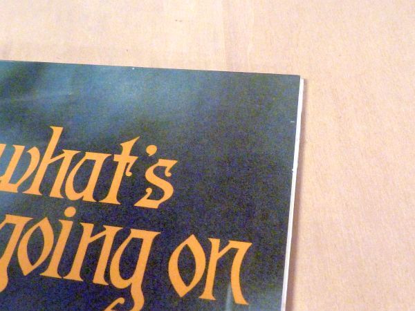 未開封 マーヴィン・ゲイ What's Going On 見開きジャケ仕様リマスター復刻180g重量盤LP Marvin Gaye Mercy Mercy Me Save The Childrenの画像6