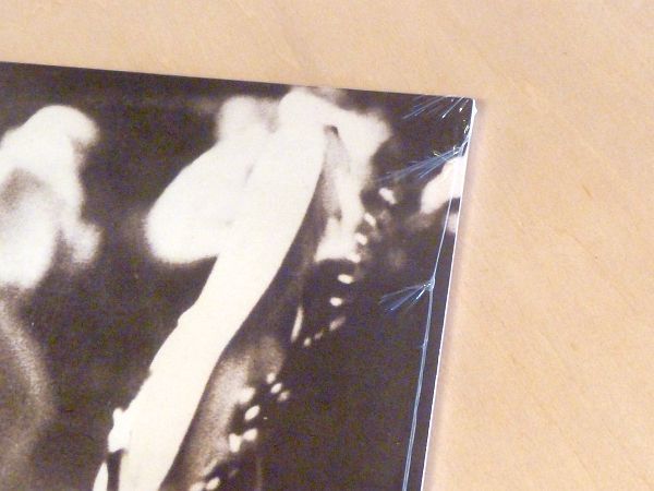 未開封 ザ・クラッシュ London Calling リマスター180g重量盤2枚組LPアナログレコード The Clash ロンドン・コーリング Joe Strummer_画像6