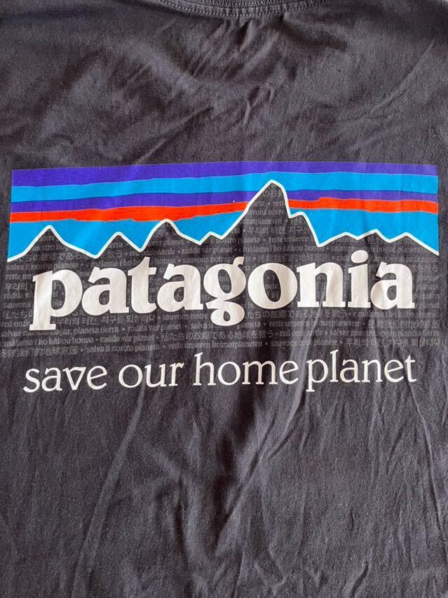 patagonia パタゴニア Ｔシャツ _画像1