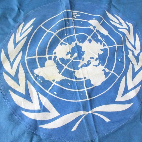 70s USA製 国連旗 UN 国際連合 DEFIANCE ANNIN 大判 100%コットン UNITED NATIONS フラッグ アメリカ製 ビンテージ 国旗 D148-71-0007ZV_画像2