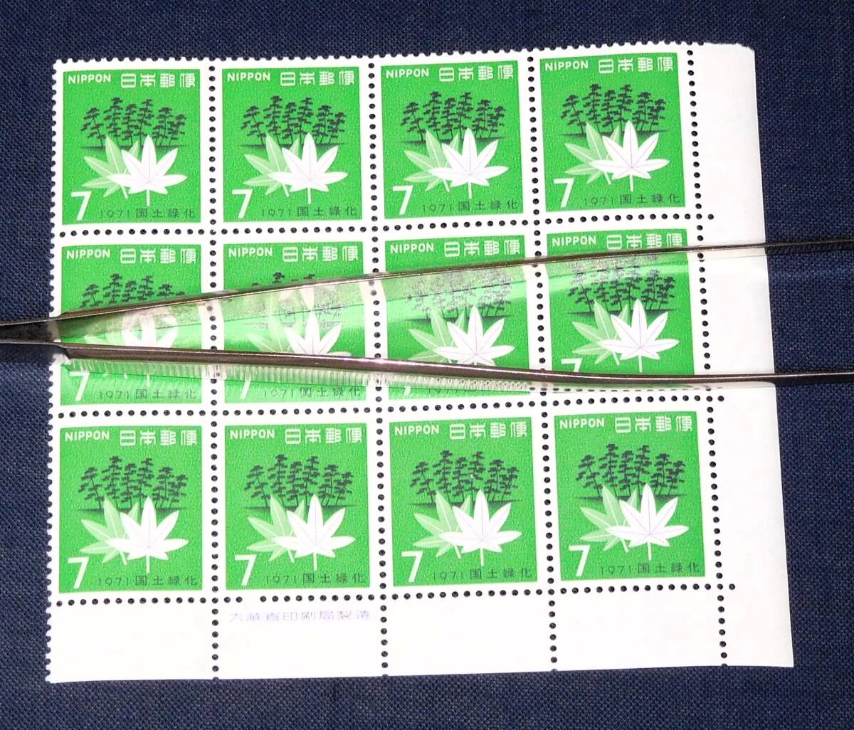 1971年 国土緑化 銘版付12B NH未使用美品の画像1