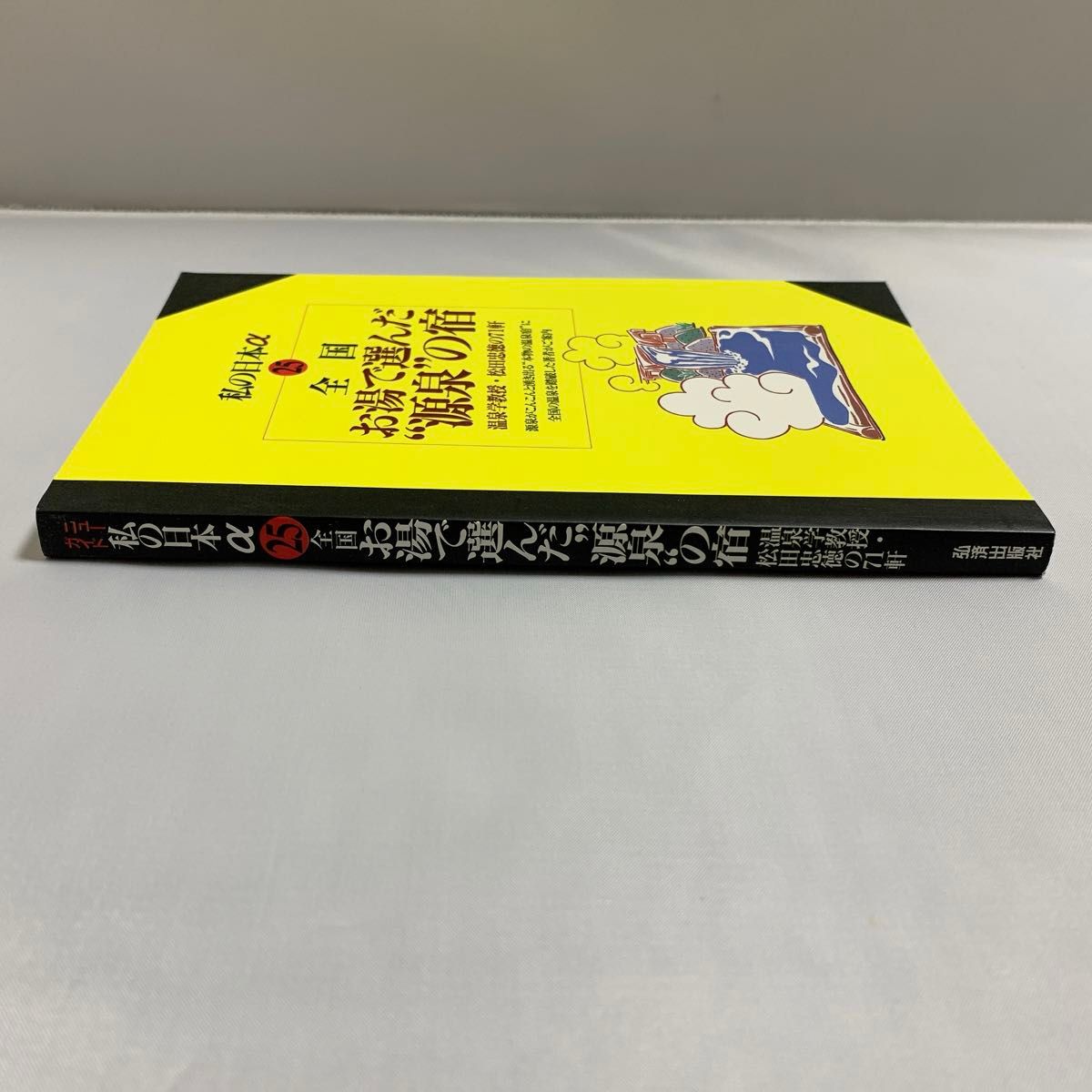 全国お湯で選んだ“源泉”の宿　温泉学教授・松田忠徳の７１軒 （ニューガイド　私の日本α） 松田　忠徳