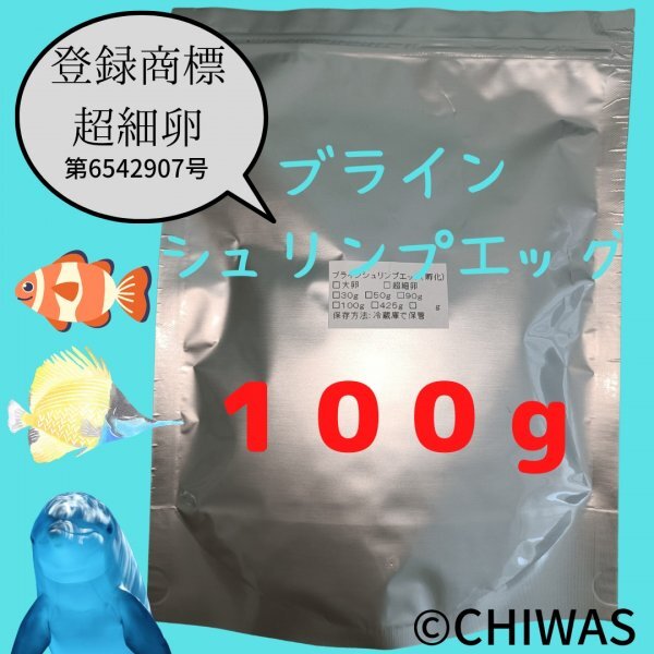 【１００ｇ】ブラインシュリンプエッグ(超細卵) チャック付アルミ袋に小分け 中国渤海湾産 鮮度に自信あり！の画像1