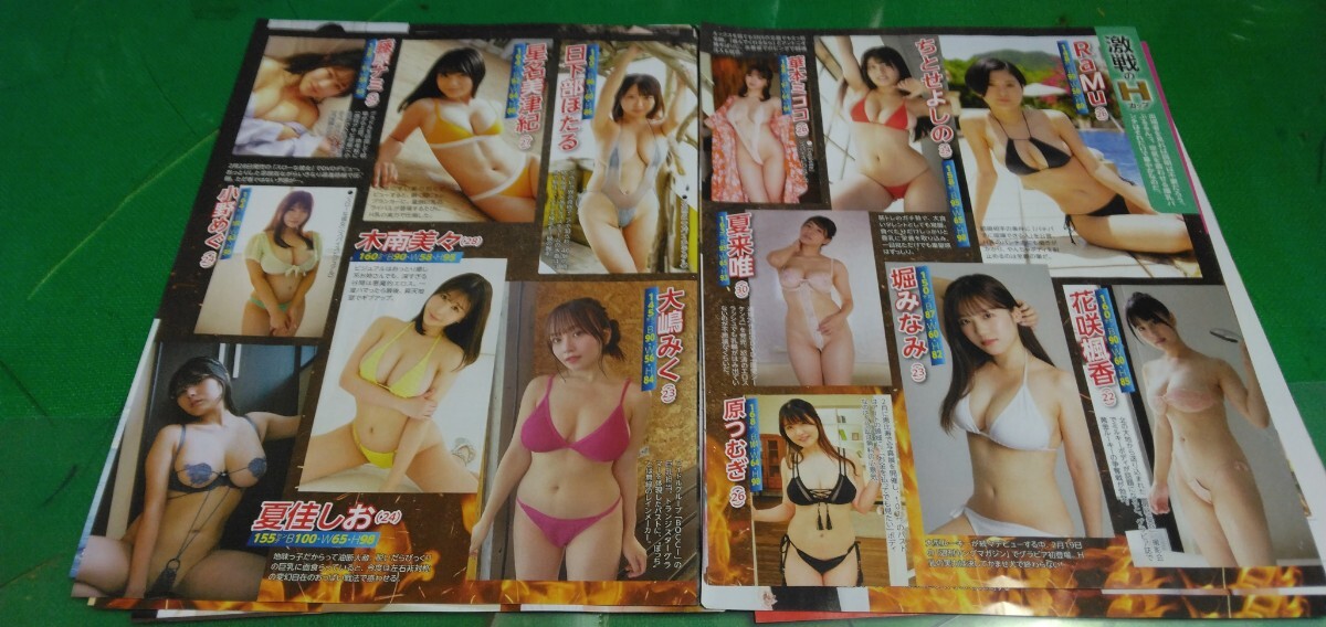 佐々木萌香 グラドル美乳チャンピオン決定戦 グラビア雑誌切り抜き17Pの画像7