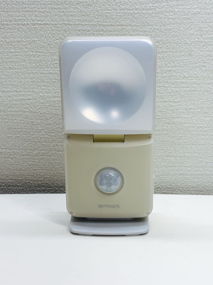 ムサシ RITEX LEDセンサーライト ＆ 専用ACアダプター