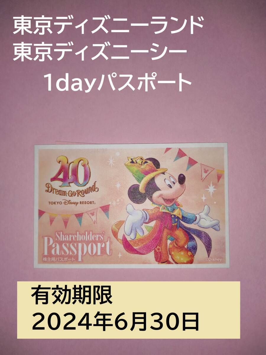 東京ディズニーランド/東京ディズニーシー　パスポート　入園予約　チケット　ワンデー 　有効期限：2024年6月30日 _画像1