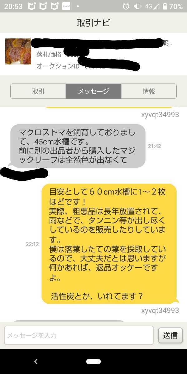 100枚+数枚 県産マジックリーフ 厳選品 熱湯消毒済 ベタ専門店にも、卸しています。③_画像5