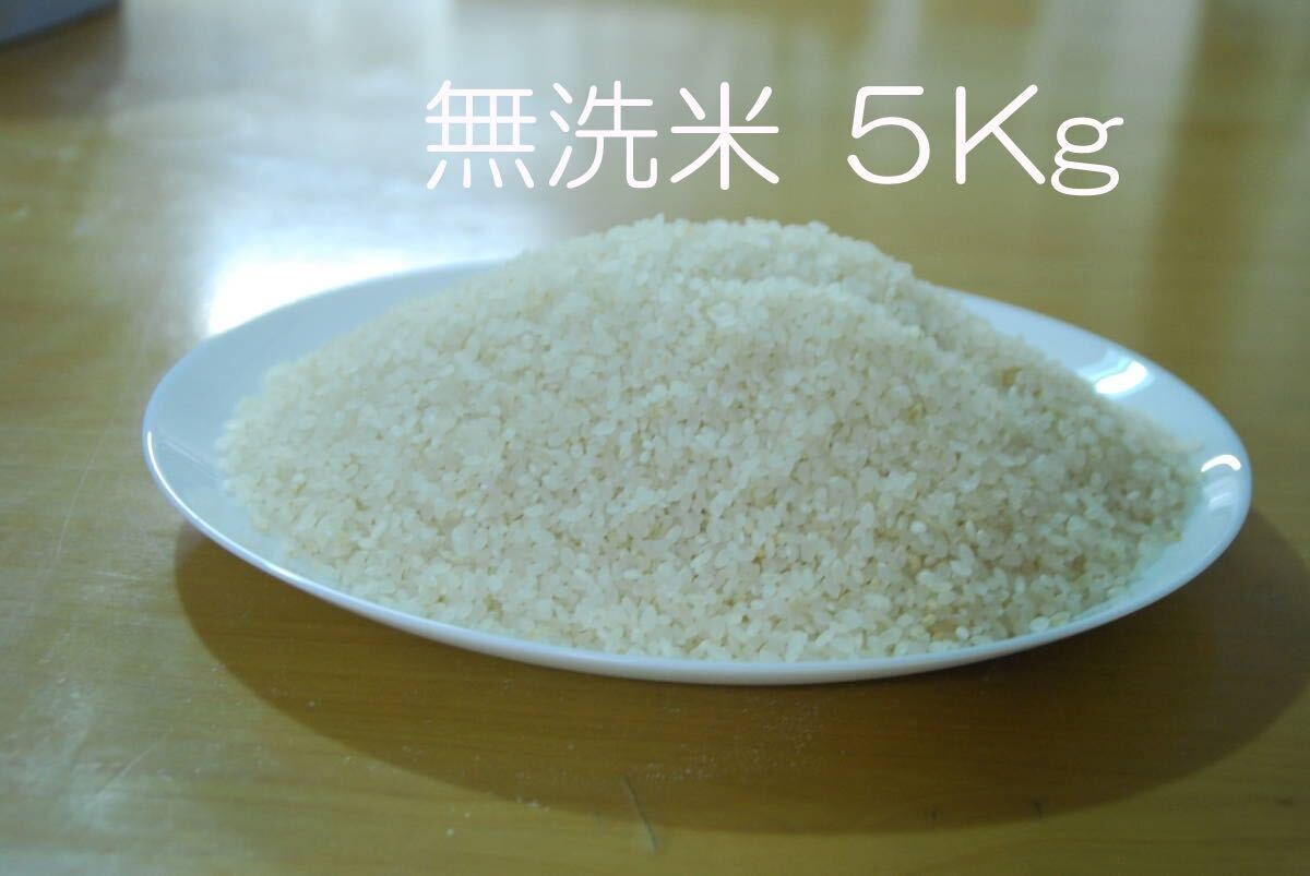 ★令和5年 新米 あきさかり 5Kg無洗米 送料無料の画像2