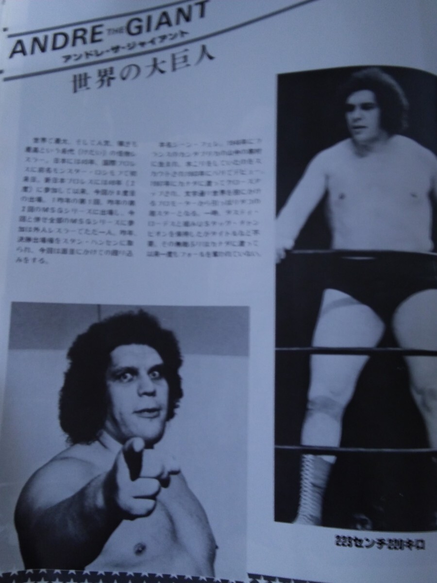 中古 パンフレット 新日本プロレス 80第3回マジソンスクエアガーデンシリーズ 猪木 藤波 坂口 長州 アンドレ ハンセン ホーガン ローデス_画像6