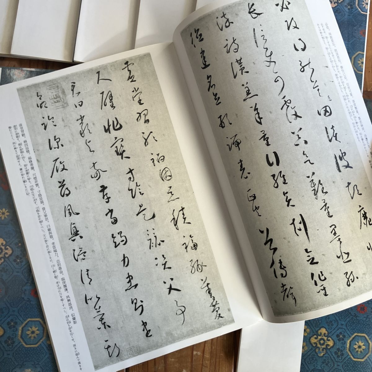 中国法書選 12冊セット 二玄社 蘭亭叙《五種》王羲之 孔子廟堂碑 唐虞世南 曹全碑 十七帖二種 呉昌碩集 雁塔聖教序 孟法師碑 書譜ほかの画像6