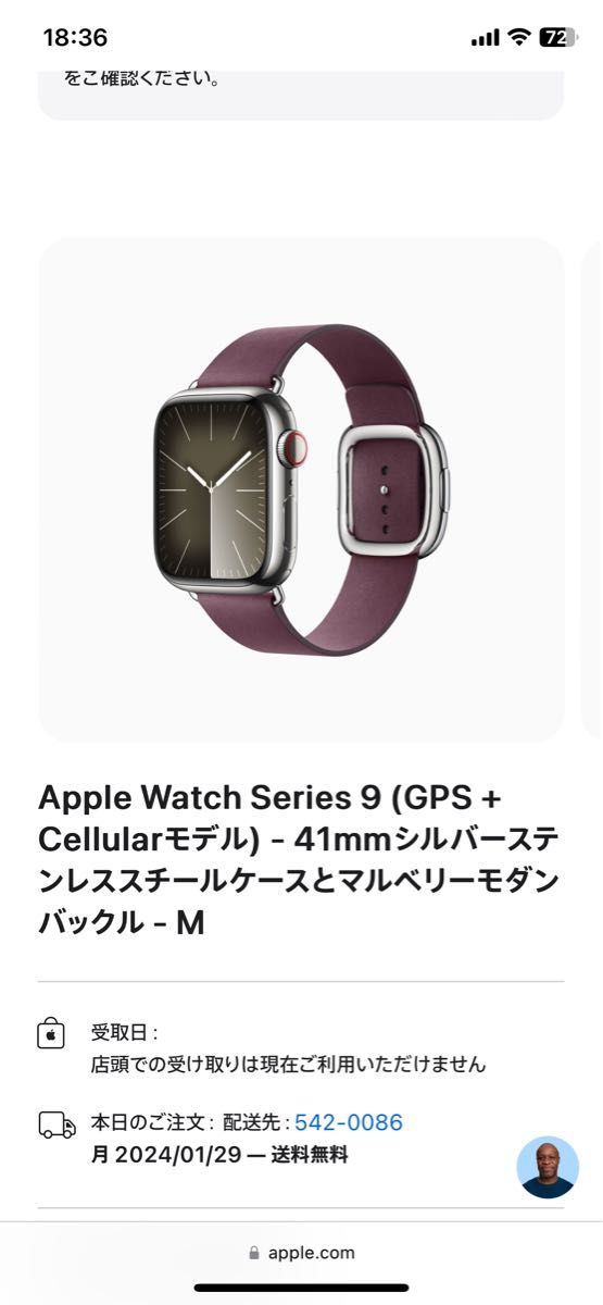 Apple Watch Series9 Cellularモデル 41mm シルバーステンレススチールケース+マルベリーモダンバック