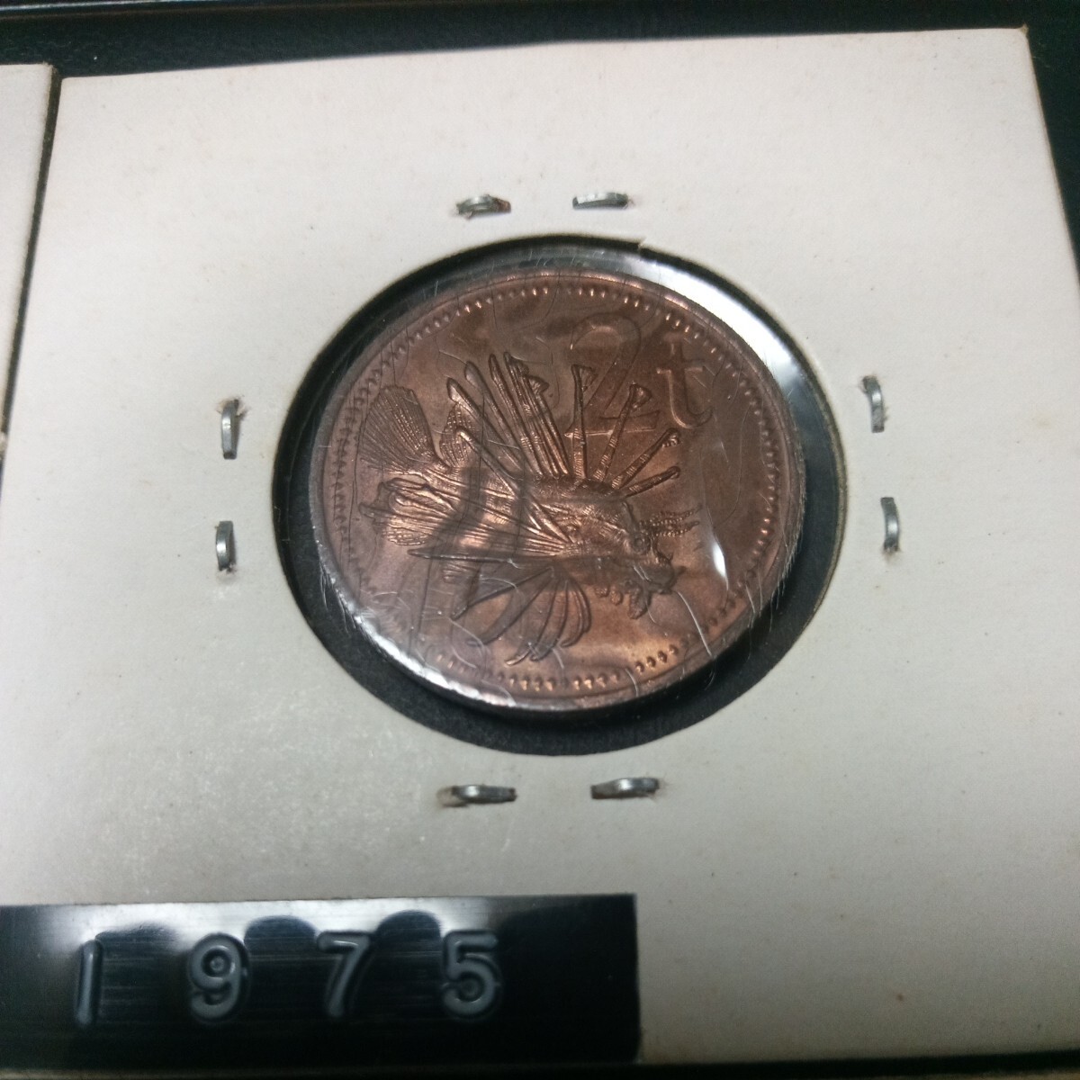 ニューギニア１シリング銀貨１９３８年      パプアニューギニア硬貨の画像8