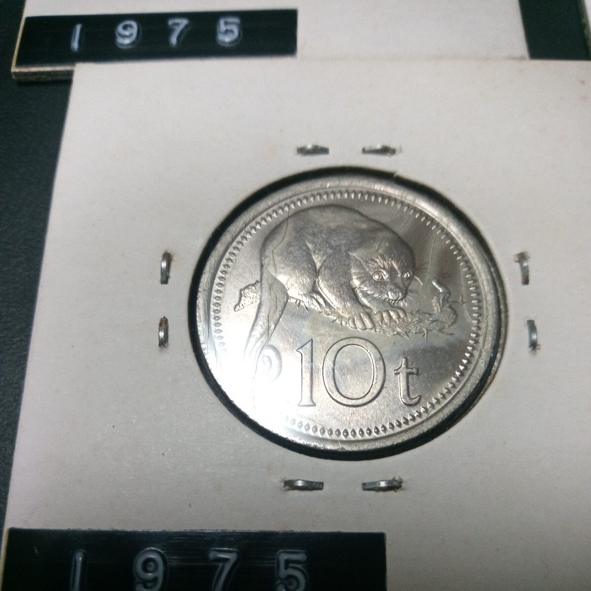 ニューギニア１シリング銀貨１９３８年      パプアニューギニア硬貨の画像7