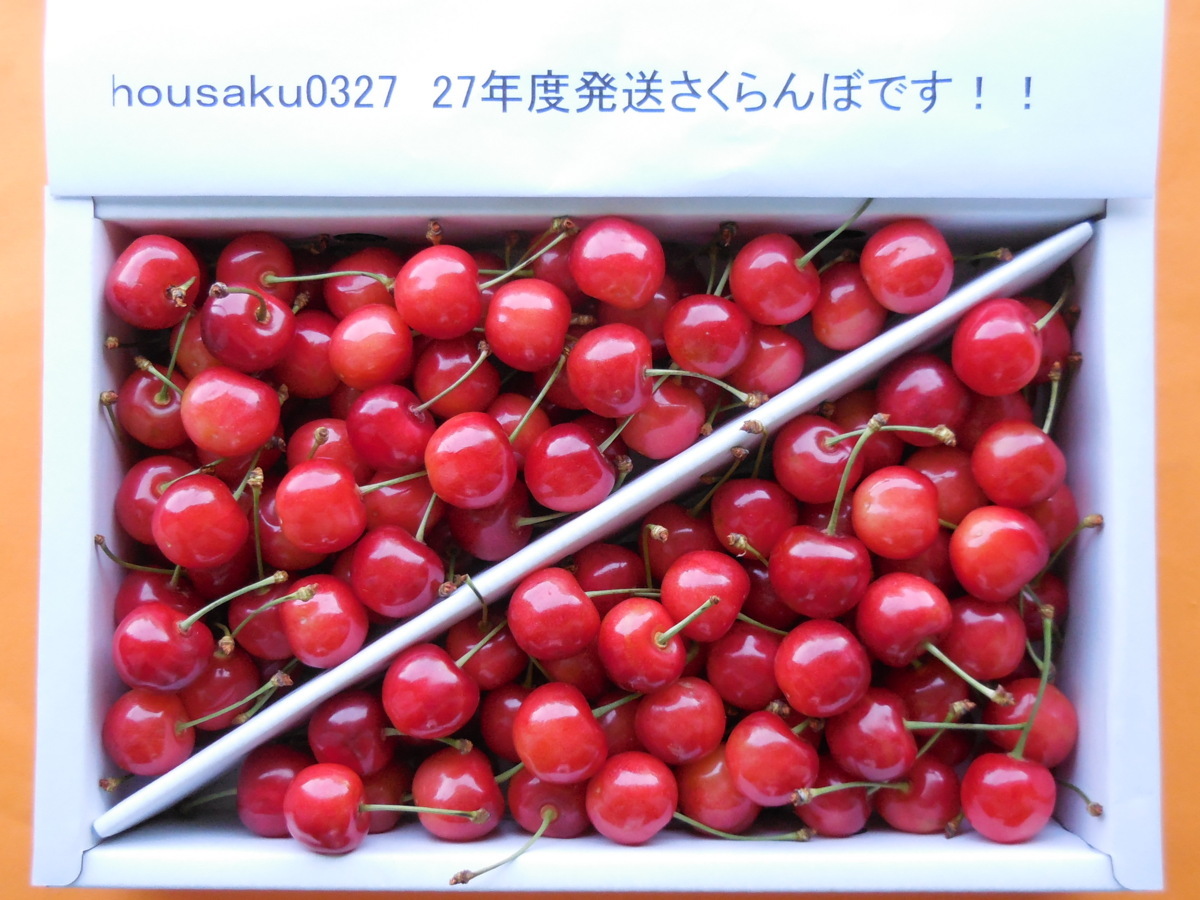 * тщательно отобранный *.. отгрузка * превосходящий товар L~LL* Yamagata восток корень производство вишня Sato .*1kg* первый лето. рубин. блеск!!
