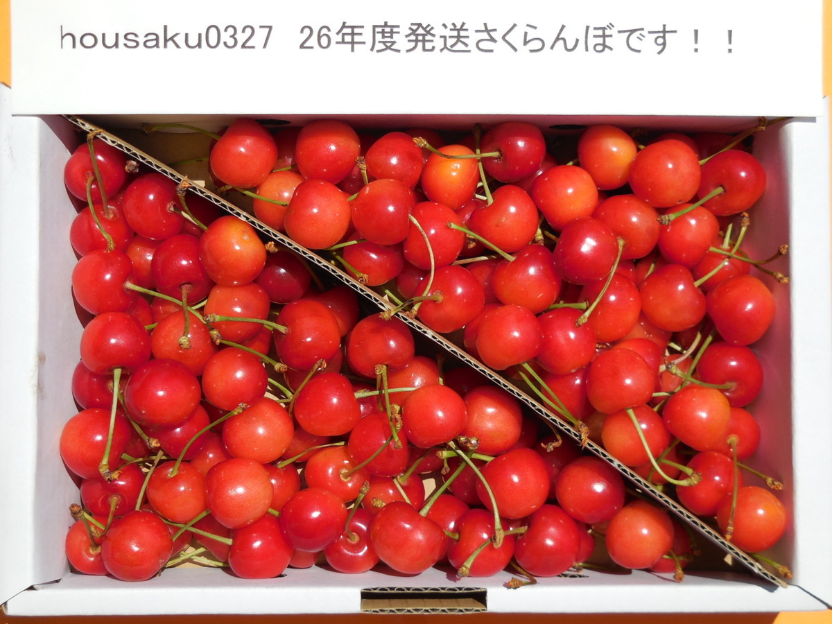 ★厳選★完熟出荷★秀品L～LL★山形東根産さくらんぼ佐藤錦★1kg★初夏のルビーの輝き！！_26年発送さくらんぼです。ご参照ください。