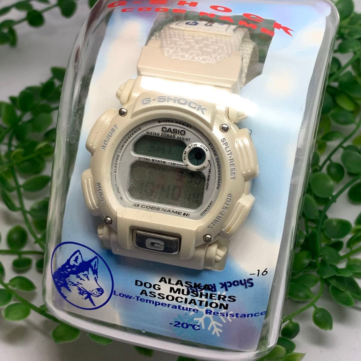 CASIO カシオ　DW-8800　baby-G アラスカ