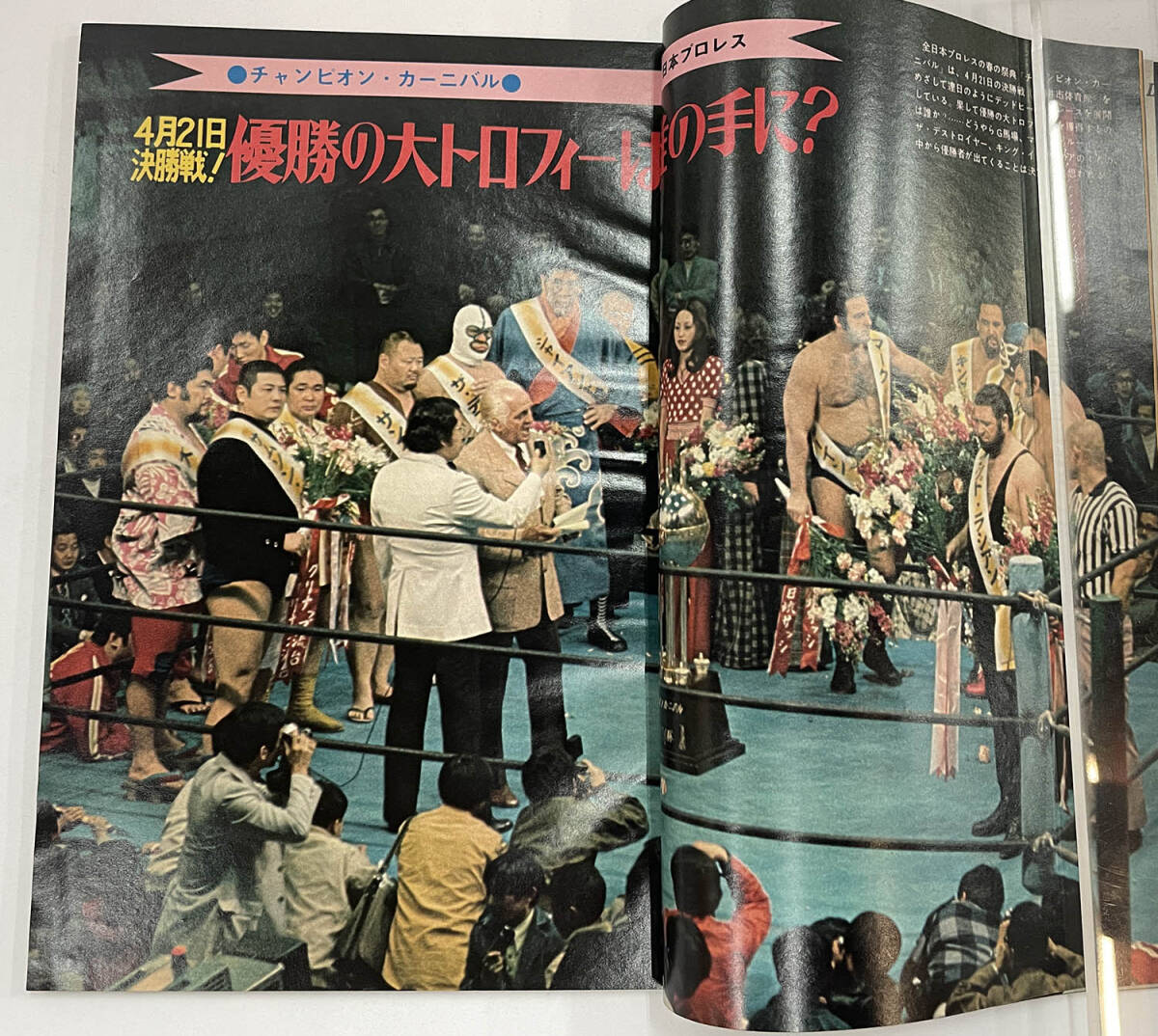  「別冊ゴング 昭和48年」1973年5月号　マーク・ルーイン　ザ・デストロイヤー　F・V・エリック_画像6