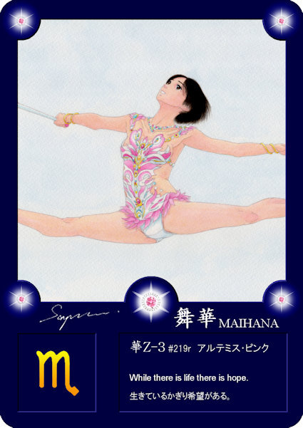  Mai . collection card .Z version comp specification 