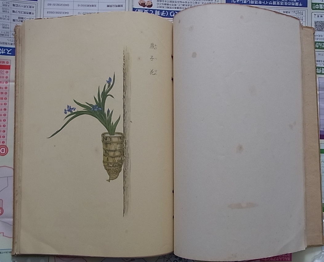 中古】 朝日百科世界の植物 (1978年) 古書・古文書 中古】 朝日百科世界の植物 (1978年) 古書・古文書