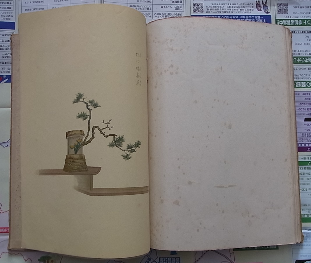 稀少 大型 昭和11年刊 摸範花形圖譜続版100瓶揃 大日本 稀少 大型 昭和11年刊 摸範花形圖譜続版100瓶揃 大日本