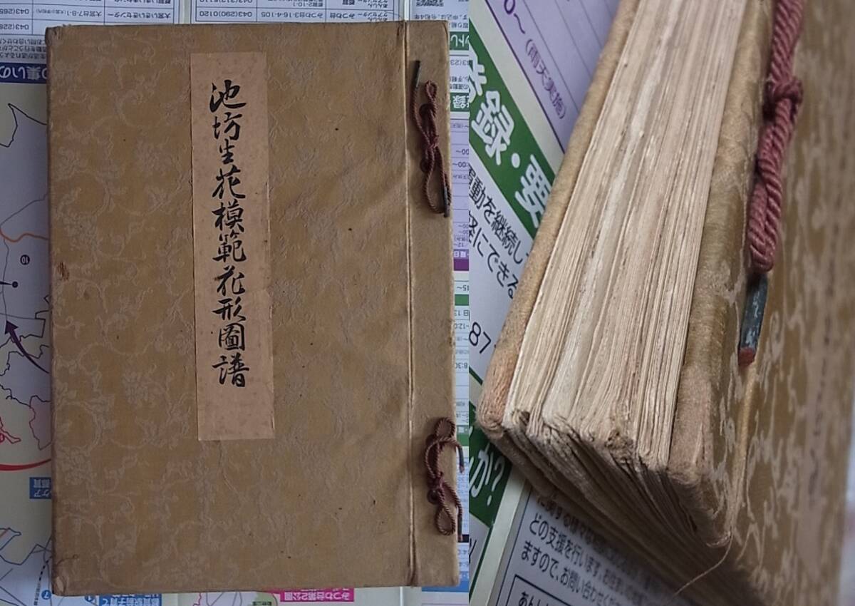 稀少 大型 昭和11年刊 摸範花形圖譜続版100瓶揃 大日本花道学院発行　 検索 華道 生花 盆栽 生け花_画像2