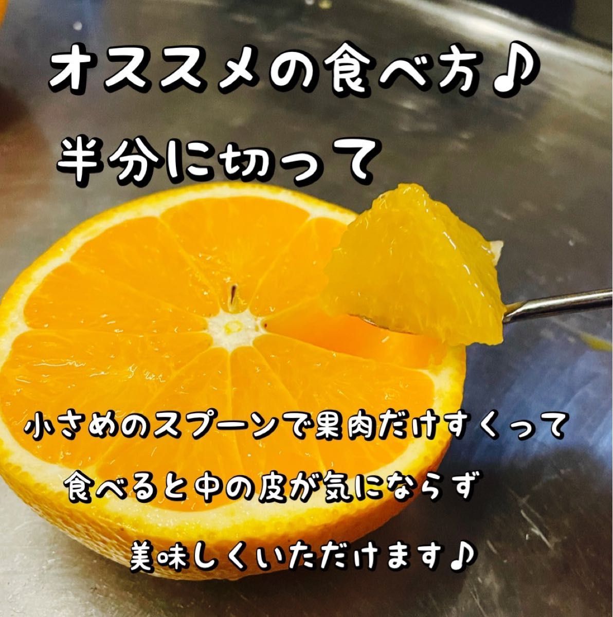 清見オレンジ2キロ　訳あり品　サイズ混合　産地直送有田みかん和歌山みかん　柑橘