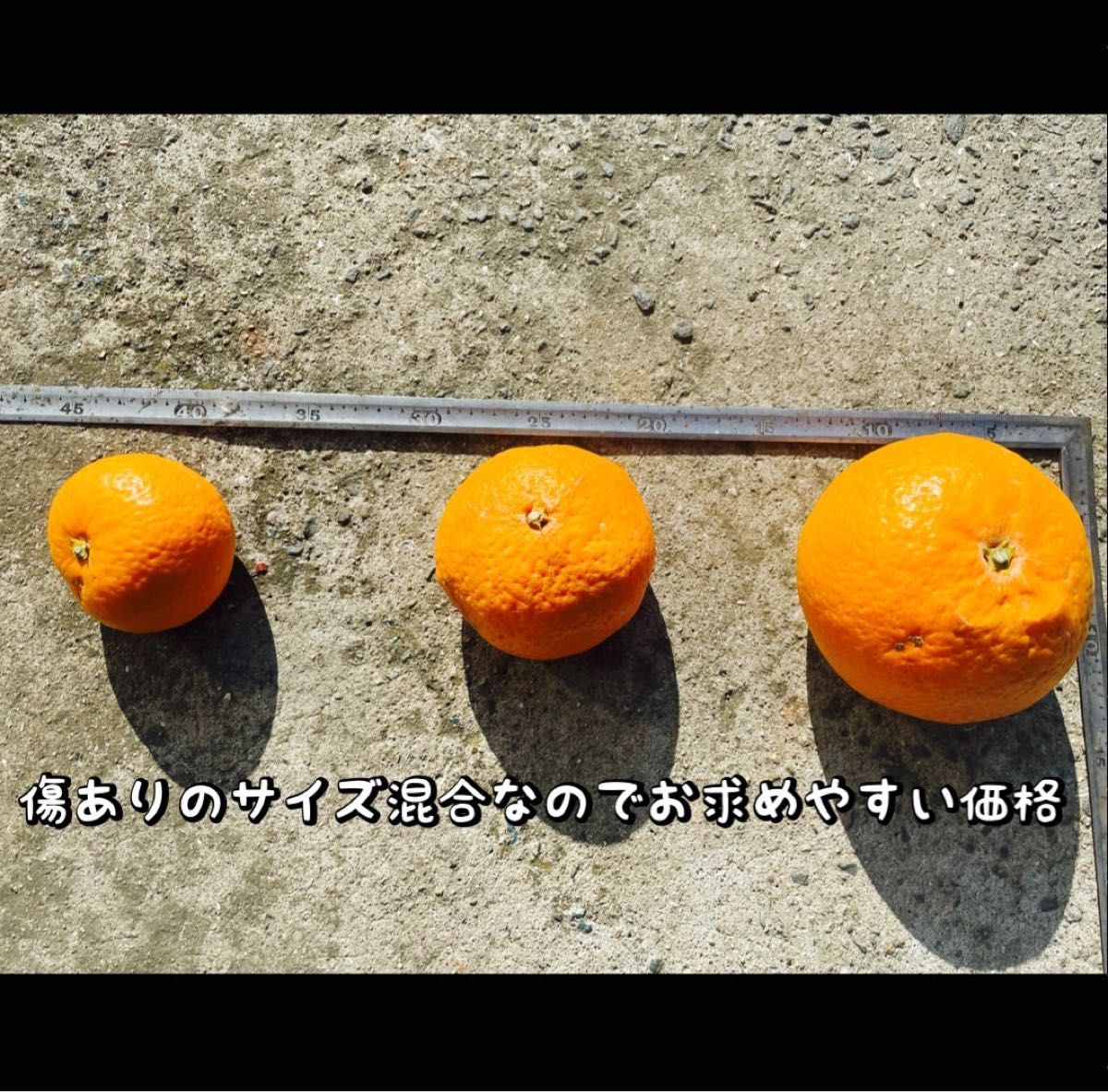 清見オレンジ3キロ　訳あり品　サイズ混合　産地直送有田みかん和歌山みかん　柑橘